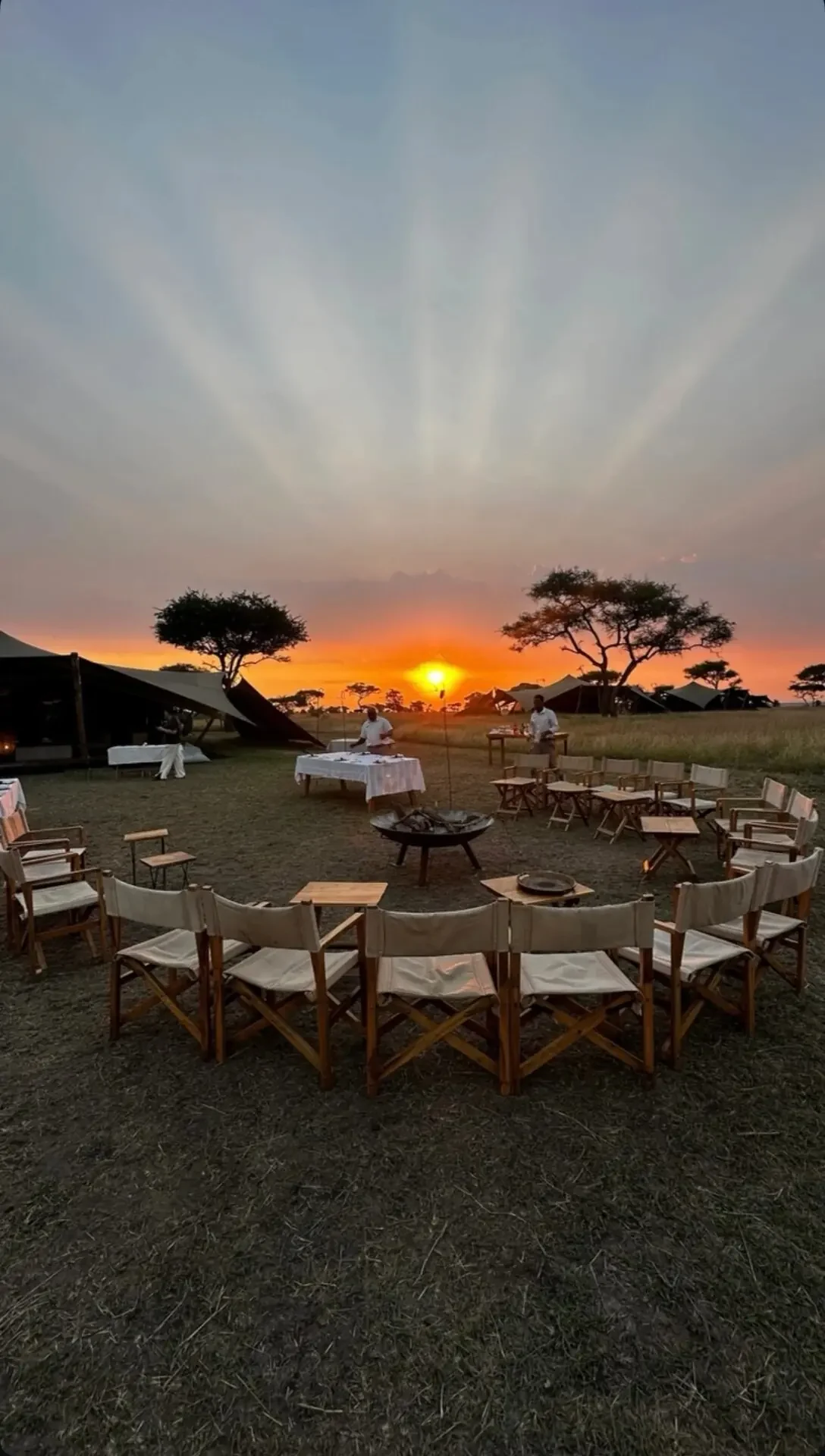 Serengeti bush dinner at sunset