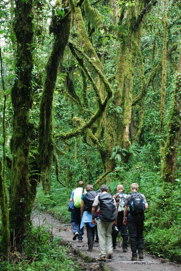 Machame Route